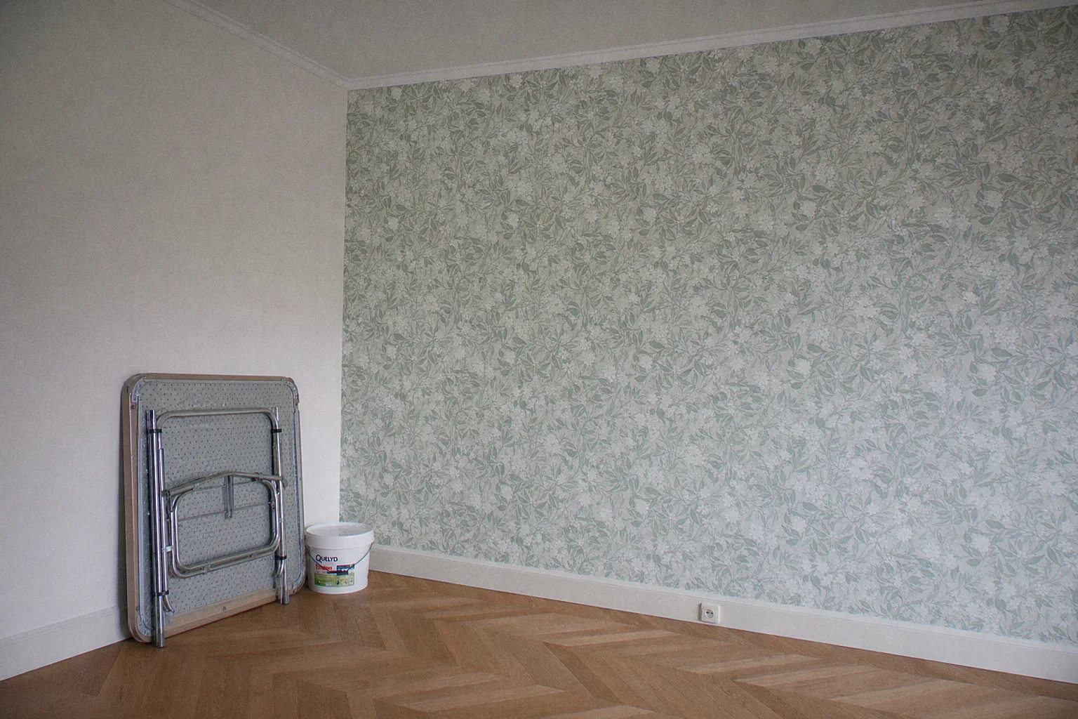 Living room accent wall with sage-green botanical non-woven wallpaper