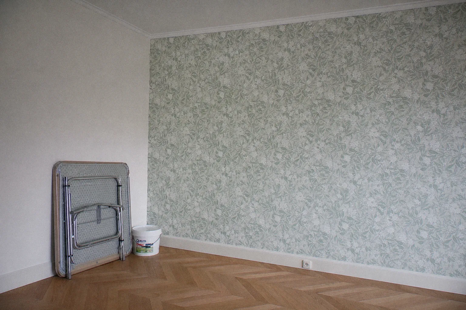 Mur d'accent salon avec papier peint intissé motif végétal vert sauge